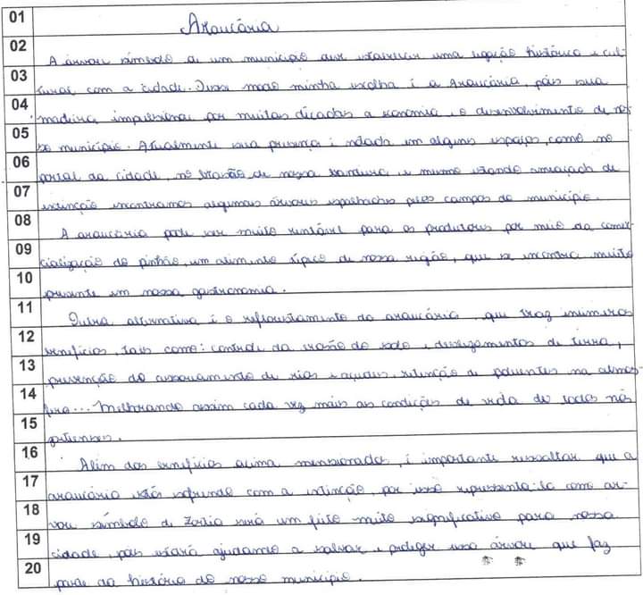 Redação 5-6 Árvore.jpeg