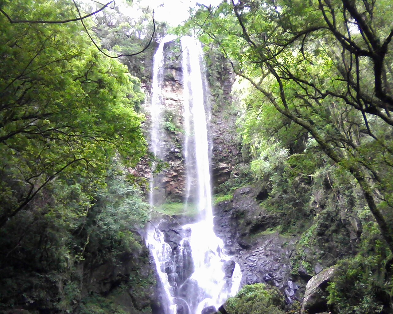 TAIMBÉ A BELEZA NATURAL.jpg