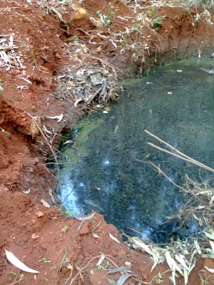 Aterro Sanitário Zortéa.jpg